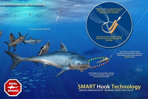Smart Hooks  Shark Defense - Shark Repellent Technologies