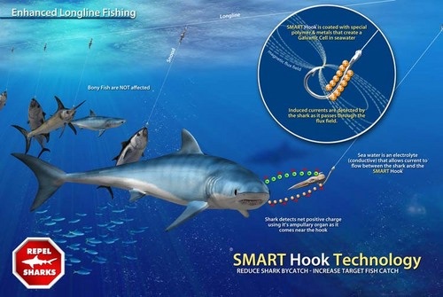 Shark hook discount